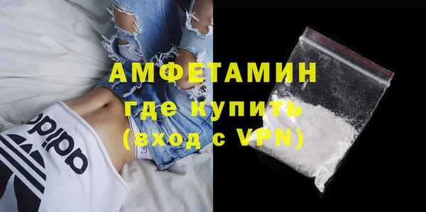 прущие грибы Нефтекумск