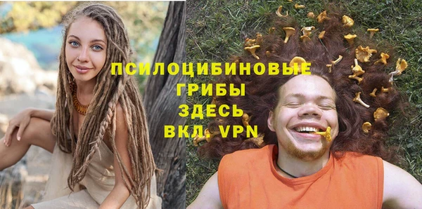 mdpv Нея