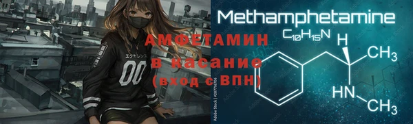 прущие грибы Нефтекумск