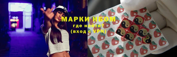 прущие грибы Нефтекумск