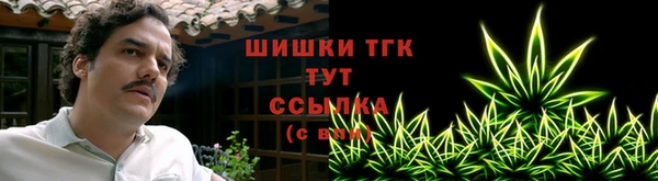 прущие грибы Нефтекумск
