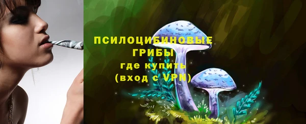 mdpv Нея