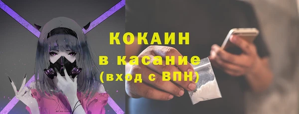 прущие грибы Нефтекумск
