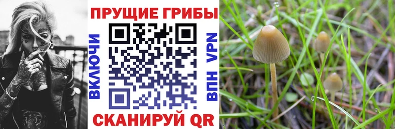 где продают наркотики Сорск Галлюциногенные грибы ЛСД